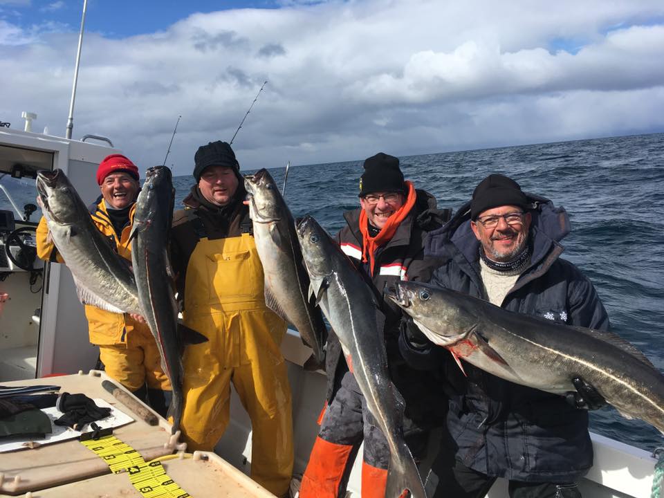 Four lucky fishermen at sea with huge, freshly caught haddocks